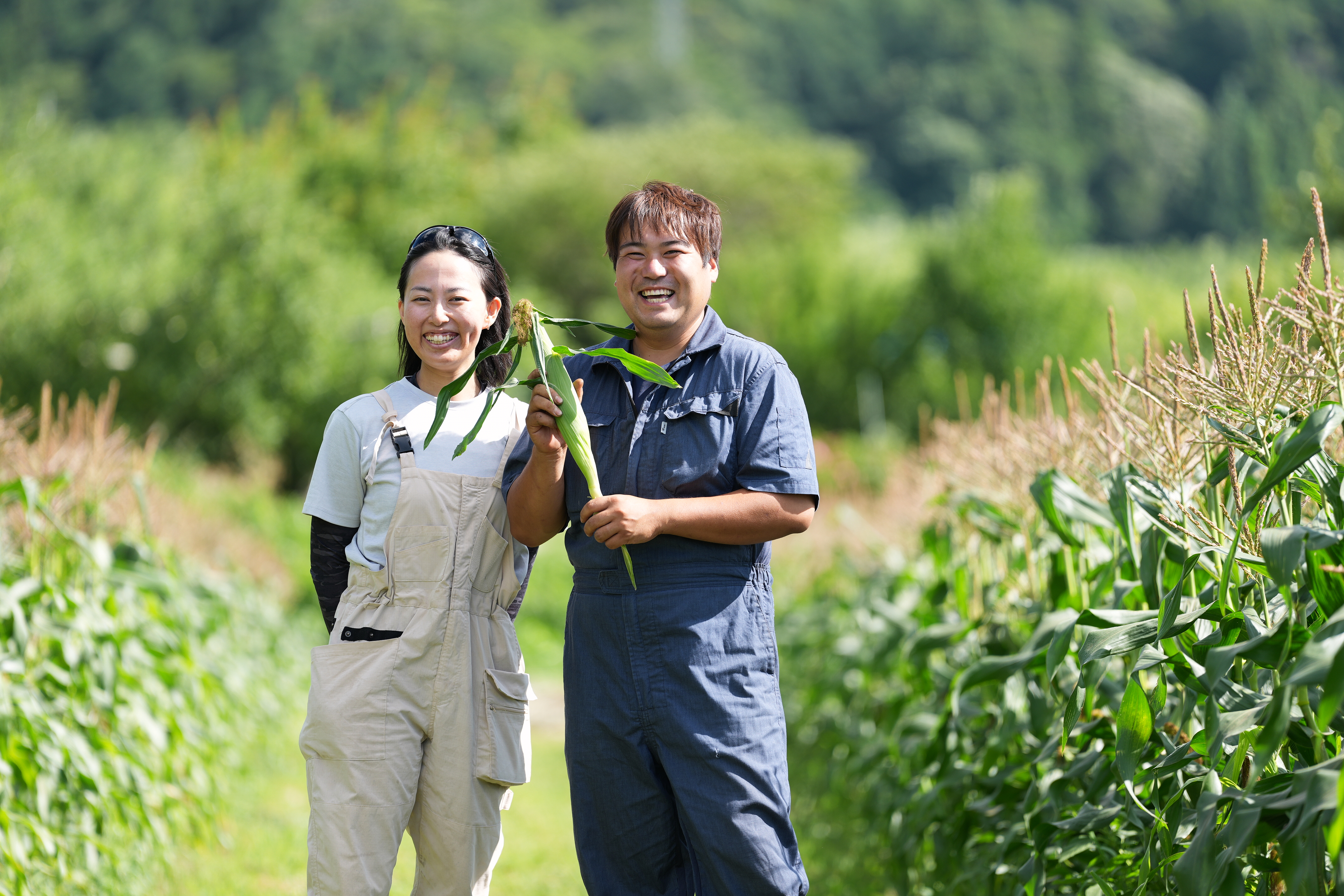 飯綱町の田んぼ
